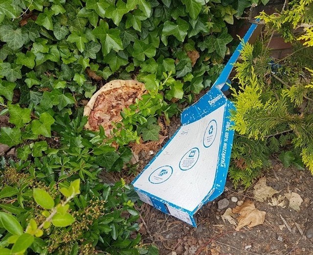 Tužna slika pizze koju je netko ostavio u divljini