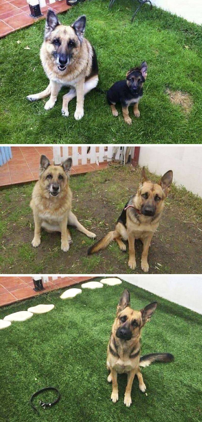 Vrijeme se ne može zaustaviti, sve je prolazno.