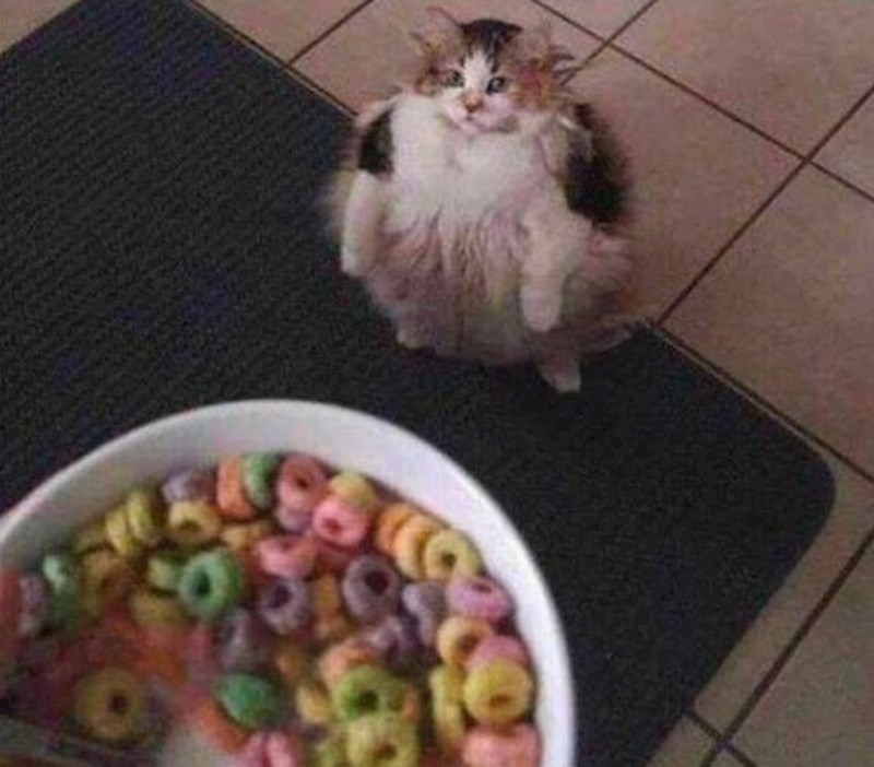 Je li netko spomenuo hranu?