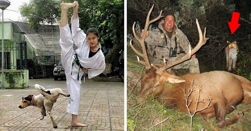 20 nesretnika koje je kamera uhvatila u najgorem mogućem trenutku