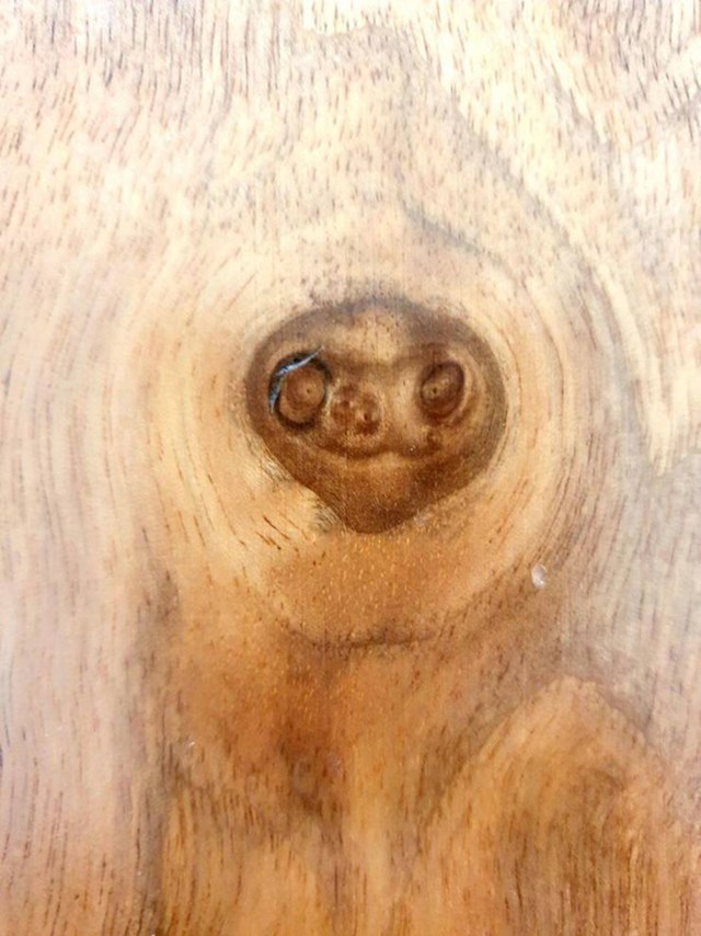 "Ova šara na mom drvenom namještaju izgleda kao nasmijani ljenjivac!"
