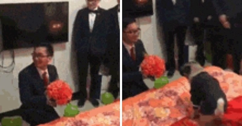 Snimali su prijatelja kako prosi djevojku, a onda je pas reakcijom nasmijao sve prisutne