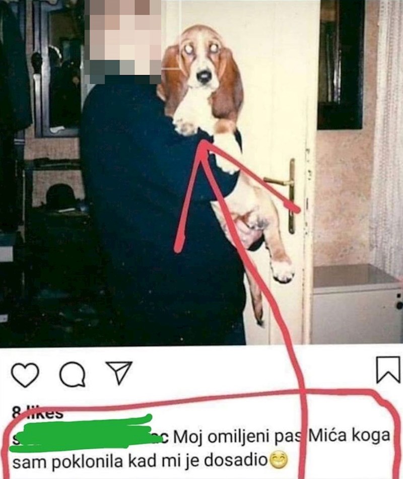 Što reći na ovakav opis?