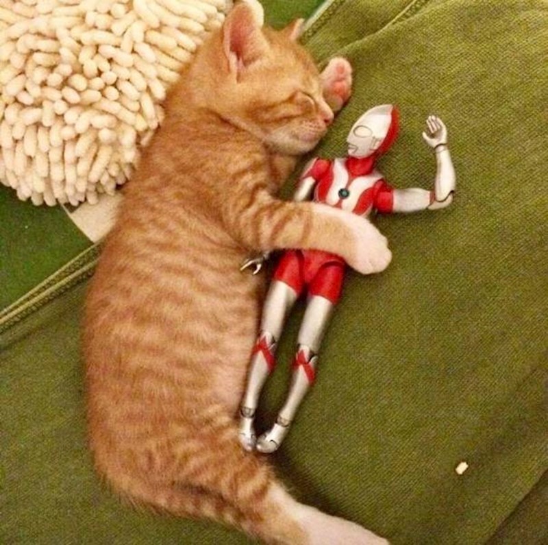 "Ok, nagovorio si me. Odspavat ćemo rundu."