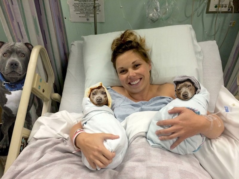 Nekako nam se čini da ovo ipak nisu njene bebice...