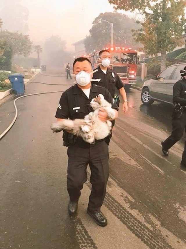 Vatrogasci su spasili mačku, ostala je u kući koju je zahvatio požar.