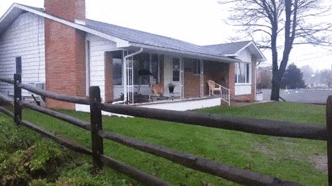 Vlasnik zbog kiše nije htio ići u šetnju s psom pa je pronašao zanimljivo rješenje