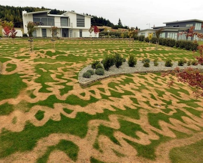 Vrtlar je tek kasnije primijetio da je koristio pogrešni sprej...