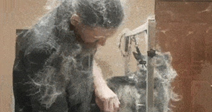 Ova nesvakidašnja snimka će vam pokazati zbog čega nije lako biti frizer za pse