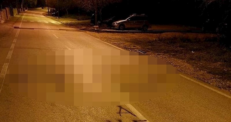 Dalmatinca naživcirali jureći automobili, evo što je napisao vozačima