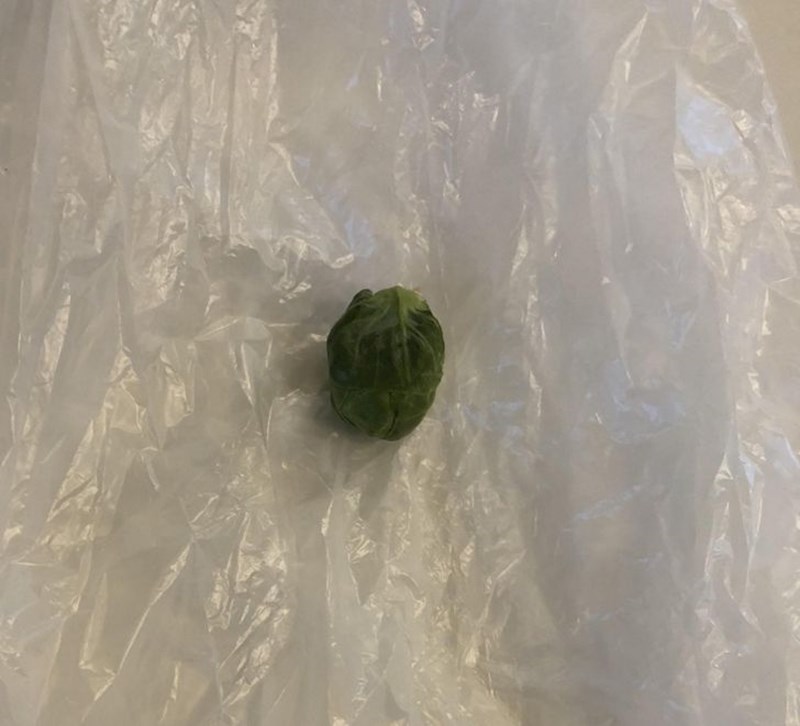 "Naručila sam 1 kg prokulica, no umjesto toga mi je stigla 1 prokulica."