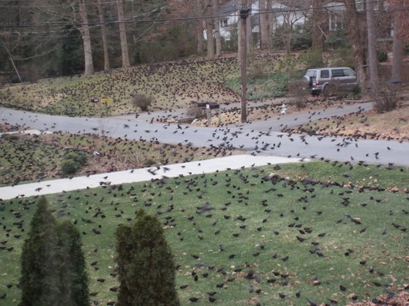 "Moram priznati da se bojim izaći iz kuće."