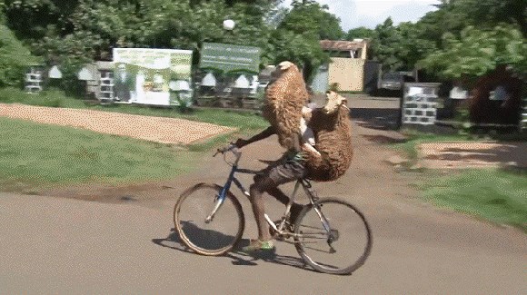 Nakon ovoga će vam biti jasno što znači pojam "mobilni pastir"