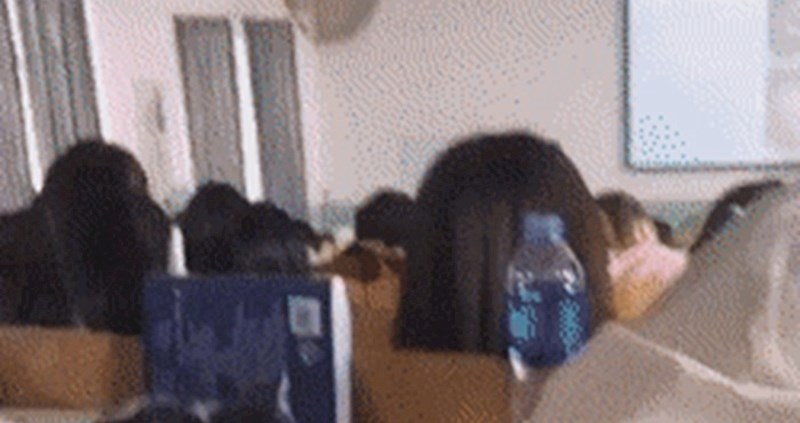 Djevojka je na nastavu donijela nešto što ne bi smjela imati na stolu, no izgledalo je preslatko