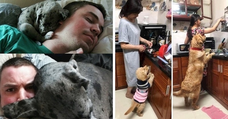 16 slatkih fotografija koje dokazuju da se neke stvari nikad ne mijenjaju