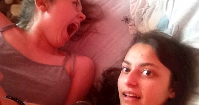 15 fotografija koje su sasvim slučajno ispale zanimljivije od očekivanog