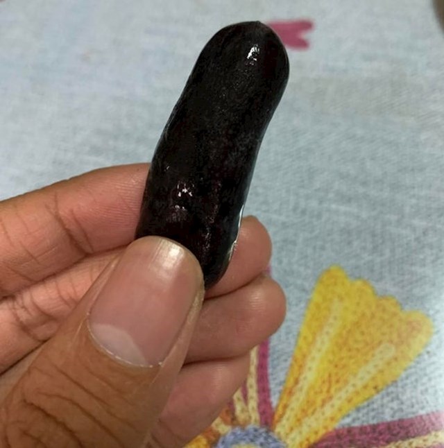 Ovo možda izgleda kao minijaturni patlidžan ili tamni kiseli krastavac, no zapravo je riječ o velikoj bobici grožđa (koja je usput i čudnog oblika).