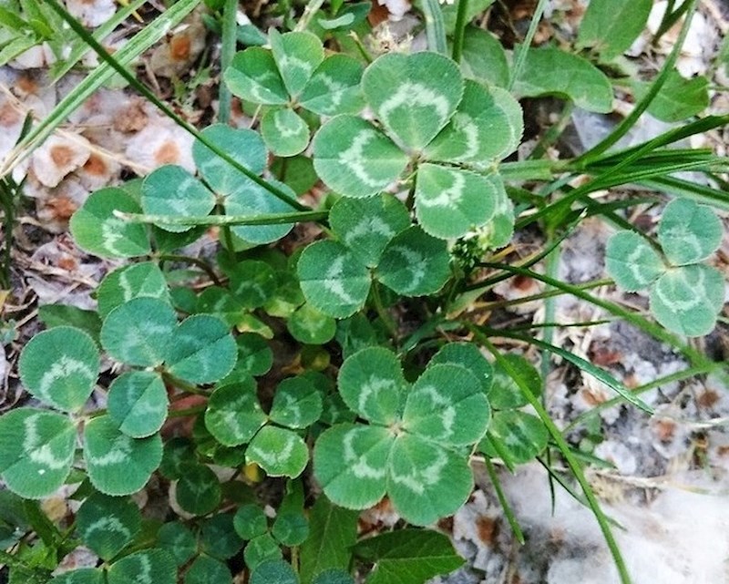 Trenutak kada shvatiš da si sretnik...