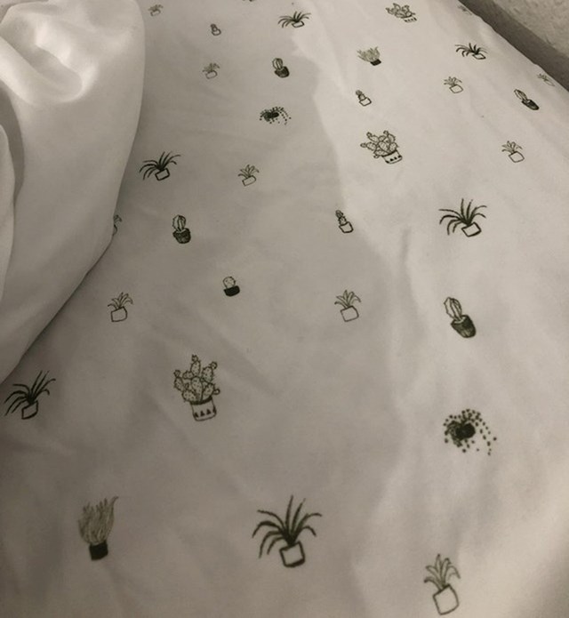 Ove biljčice na posteljini izgledaju kao mali pauci.