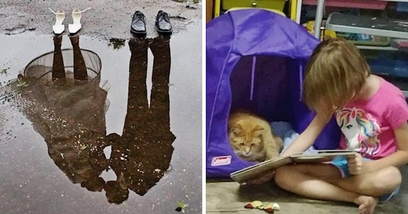 Nova doza očaravajućih fotografija koje govore više od tisuću riječi