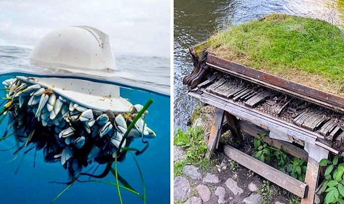 Priroda uvijek pronađe način da pobijedi ljude, a ove slike su neki od zanimljivijih primjera