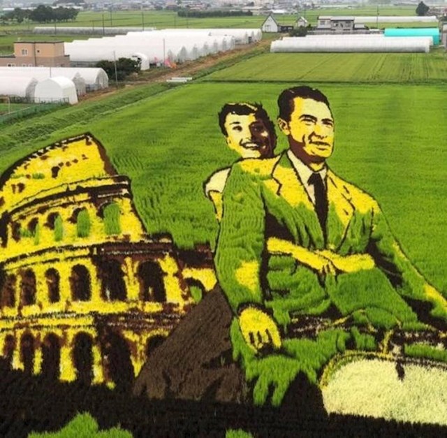 Sadnjom različitih vrsta riže jedan je Japanac na polju izradio umjetničko djelo.
