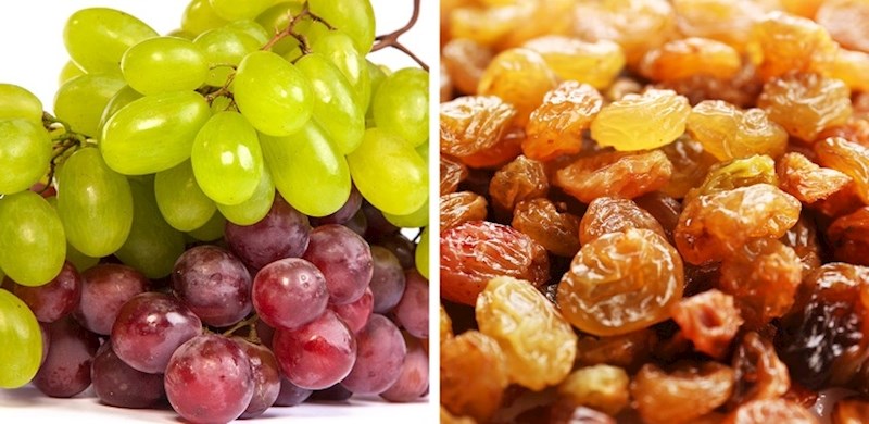 Koža vam se polako počinje mijenjati, ovako nekako...