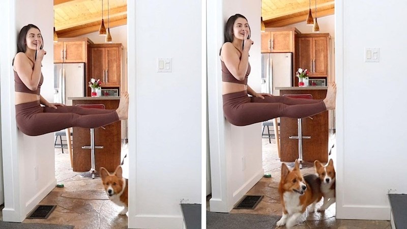 VIDEO Kratkonogi psići nisu mogli naći vlasnicu koja je cijelo vrijeme bila na vratima