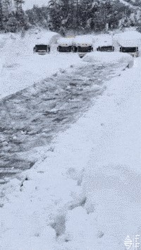 Podsjetnik kako izgleda prava zima: Na prvi pogled nećete primijetiti ništa čudno, no onda...