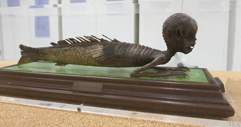 Muzeji se natječu tko ima najstrašniji izložbeni primjerak, pogledajte 15 jezivih primjera