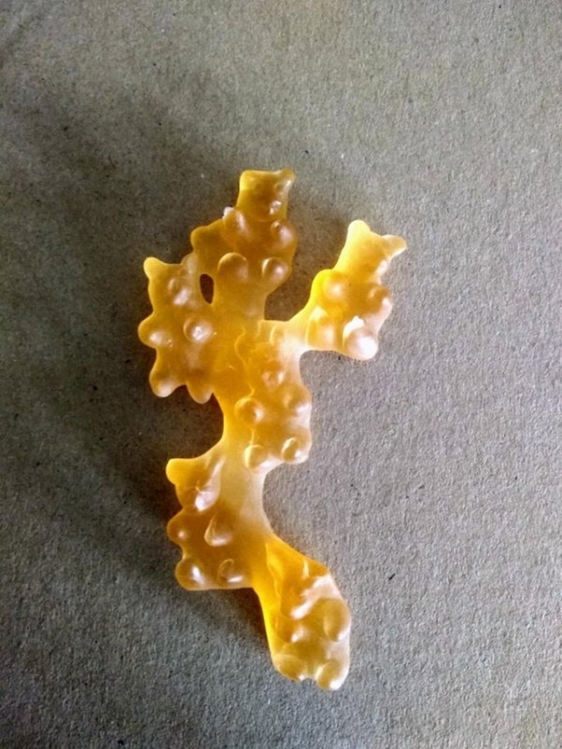 Gumeni medvjedići koji izgledaju kao rezultat neuspjelog pokušaja kloniranja