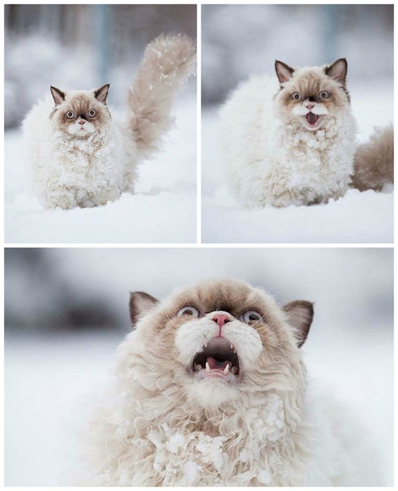 Ono kad shvatiš da je vani hladnije nego što si mislio...