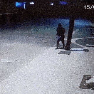 Čovjek u kasnim satima ugledao psa na ulici, odmah je znao što treba učiniti