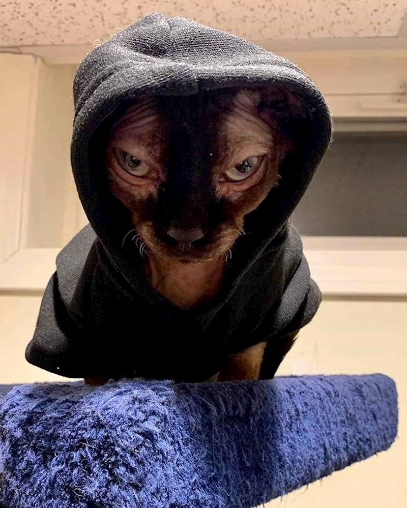 "Znam, ovako izgledam još opasnije."