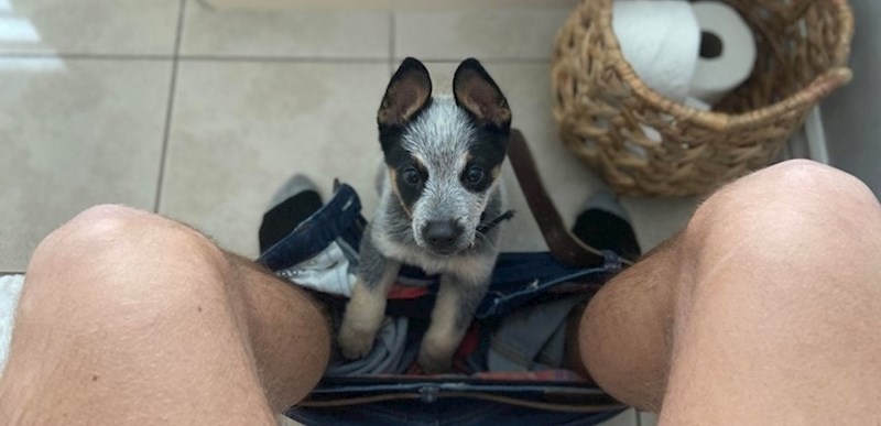 "Rekli su mi da neću biti usamljen kad nabavim psa. Bili su u pravu."