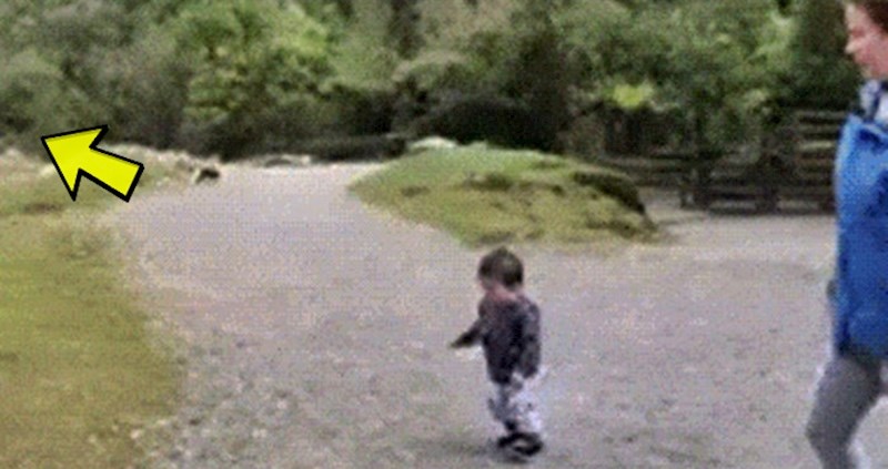 Mama je spasila svoje dijete u posljednji tren, nije ni primijetila opasnost koja se približavala