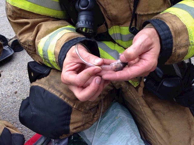 "Ovaj vatrogasac je spasio malog hrčka koji je ostao u zapaljenoj kući. Davao mu je kisik."
