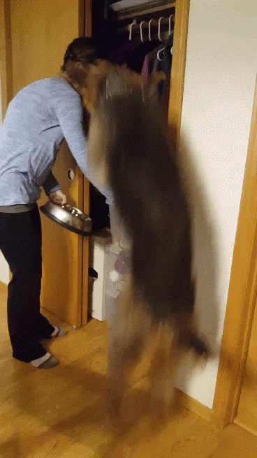 Njemu je svaki dan kao Božić: Pas ne zna kud bi sa sobom od sreće kad mu vlasnica donosi hranu