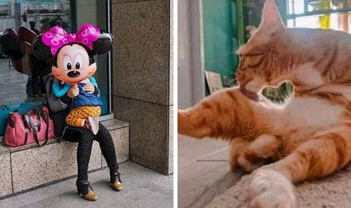 Evo što se dogodi kad netko uspije uslikati fotku u najboljem mogućem trenutku