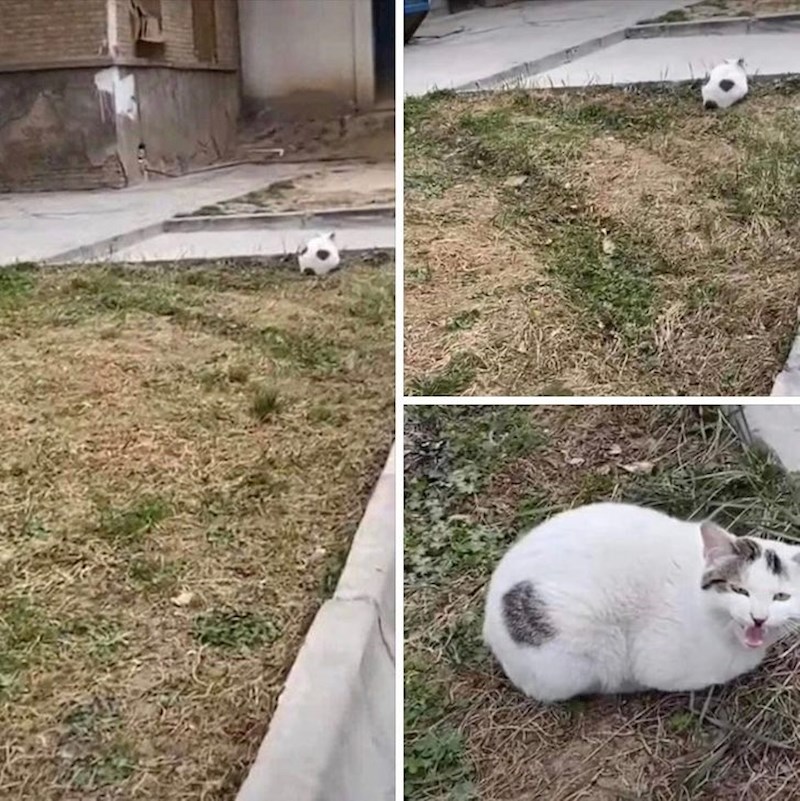 Ne, ovo nije bila nogometna lopta.