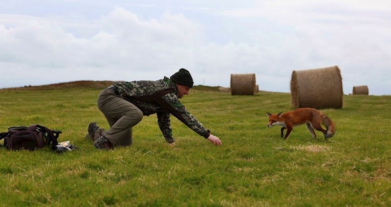 Prekrasne fotke pokazuju ponovni susret s lisicom koju su othranili kad je bila mala