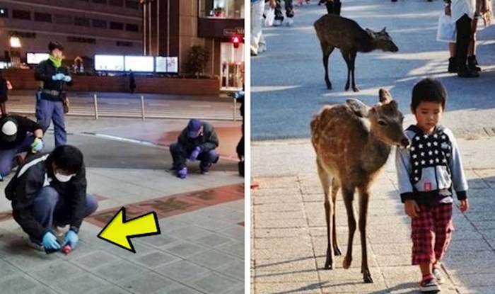 15 zanimljivih stvari koje ćete vidjeti ako ikad posjetite Japan