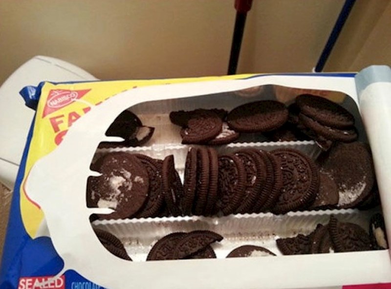 Ono kad u kući imate osobu koja za sebe želi samo najbolje...