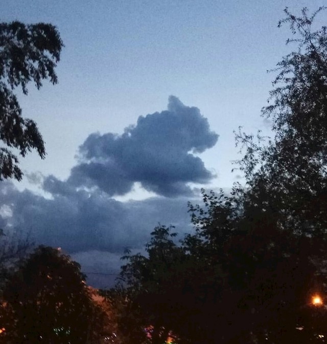Je li ovo oblak, medvjed ili pas?