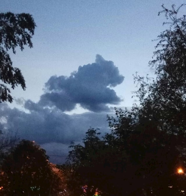 Je li ovo oblak, medvjed ili pas?