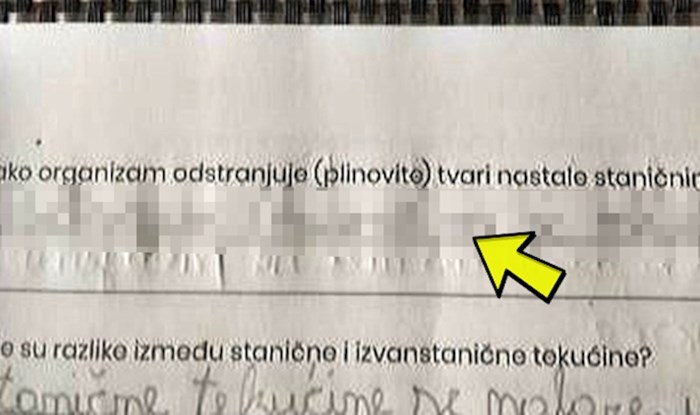 Dijete je nasmijalo profesoricu svojim neočekivanim odgovorom, za sve je kriva mama