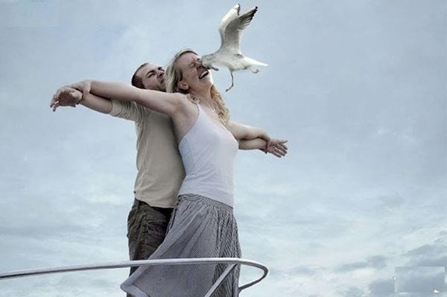 Imali su svoj "Titanic trenutak", no ova ptica im je sve pokvarila. :)