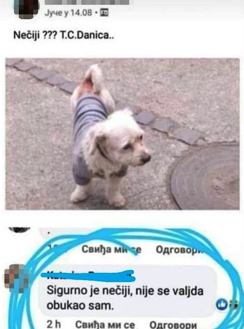 Evo što je napisala...