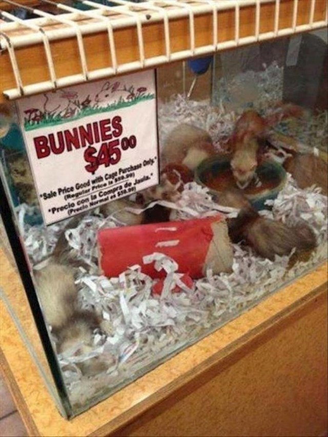 Ovaj dućan prodaje zečiće koji nisu zečići.