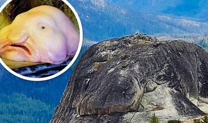 Ovi ljudi su brzo izvadili svoje kamere i slikali ove fotke u najboljem mogućem trenutku